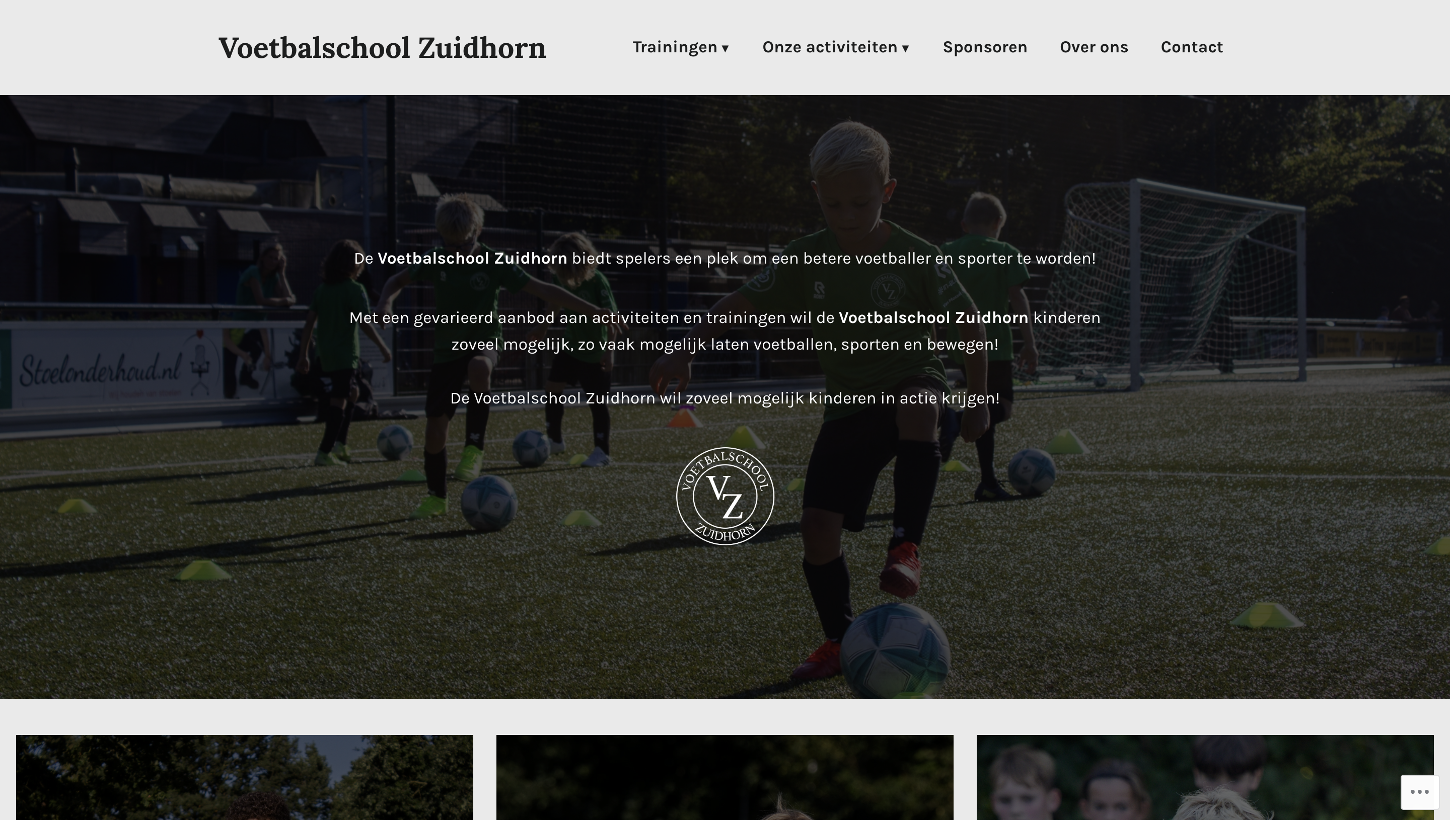 https://voetbalschoolzuidhorn.nl/